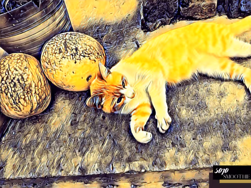 Item #70173555060280459679020221103172679865592931086946583501557978916185897435137 Media