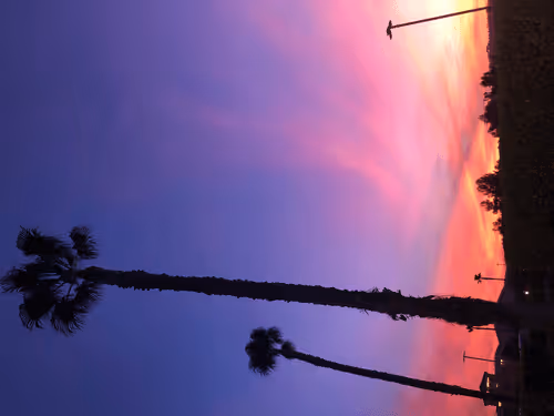 Untitled Collection #47918737