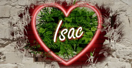 Item #68053287575525751288269231675427811746861684968250582901590729452895160238090 Media