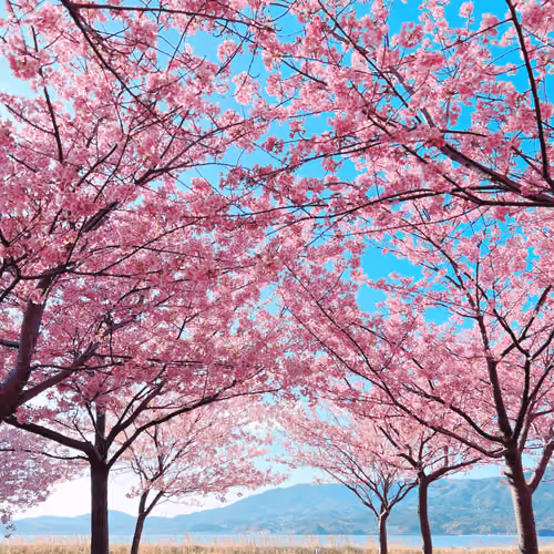 Beautiful_Japan #0004