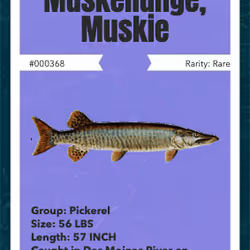 43502264269384842523243150070095810631836830099831581701628992076905757802497