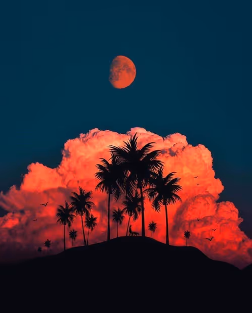 Item #83462484926125179177933876272722647181473475967863052278931111149329562206209 Media