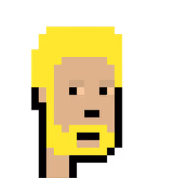 Crypto Face Colletible #5