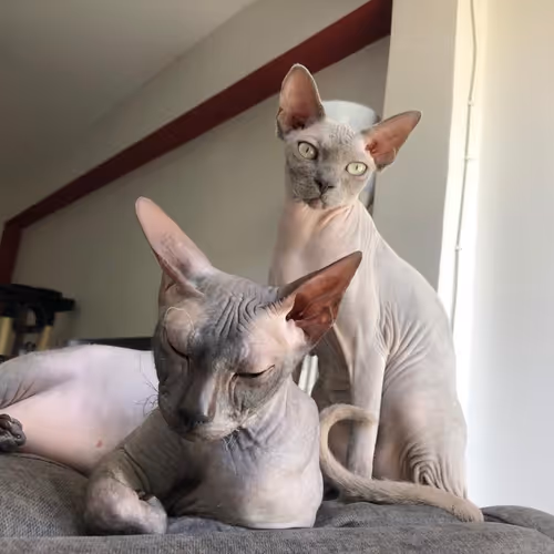 Untitled Collection #178893675