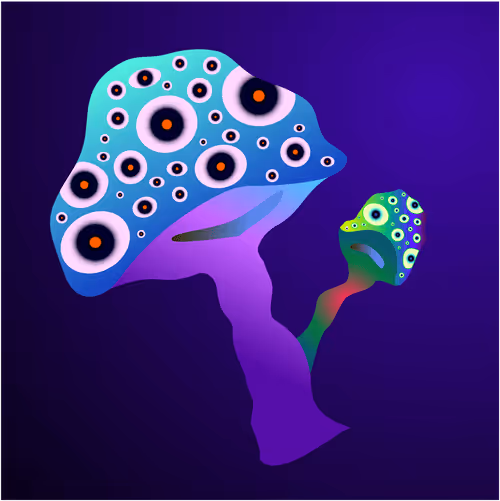 Item #69353682132584287921640915502496302946504347868100656215909837780454555516929 Media