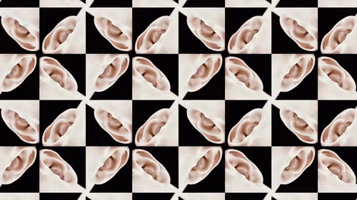 Item #24903874531350115991913359074638014120394763804843076394666795028112358768641 Media