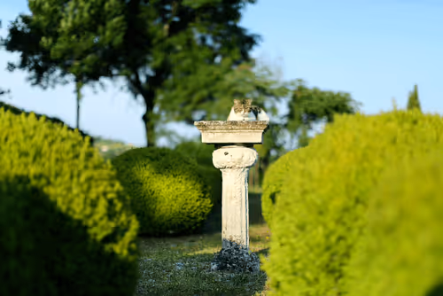 Item #35059650464012303827222025137933488890334856624712378802385142572972012208133 Media