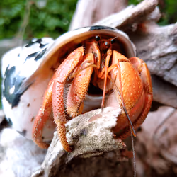 91920838516500969586140493576070920060778375503638515337937380306329293291521