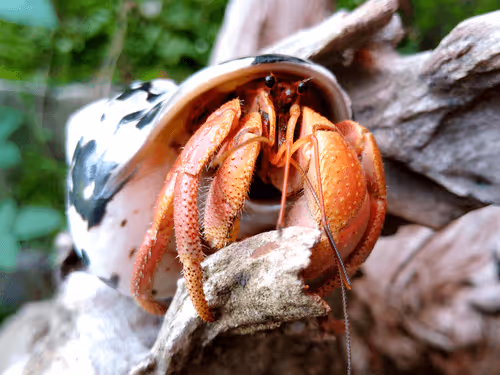 91920838516500969586140493576070920060778375503638515337937380306329293291521