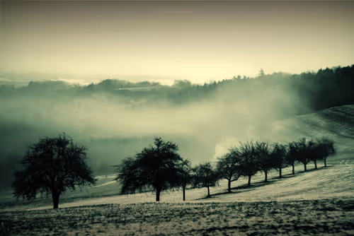 Item #113065873903366828743744079288708835697083018334279533284549130186654232870913 Media