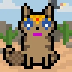 62467536445418901683526312390752010330375978015730577464472950165498847297537