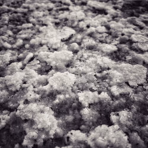 Salty Nature