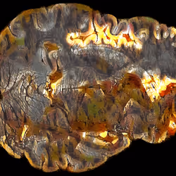 29877578668728852178902598419785793077778618348046200683544678222790572113921