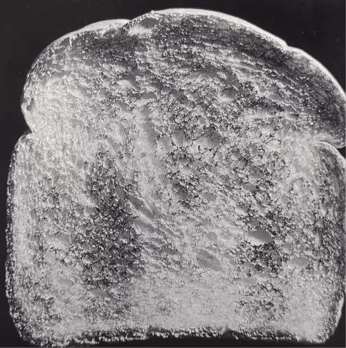 Item #92741434566094600185812596185285137100955910768144141226556336992624790470657 Media