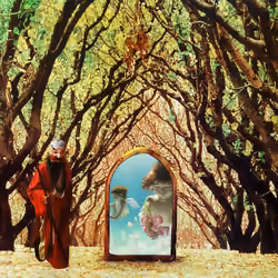 The door