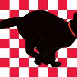 Memory cat Dash patternR-RW