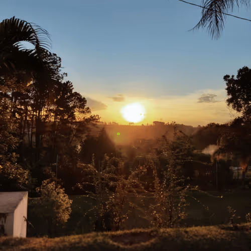 Item #76789129689388299706655966014022744743344792406865654046008114598274679177217 Media