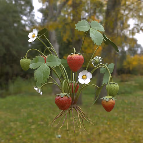 55385083907496422223697508296525294302949463273942408304666417672150444933130