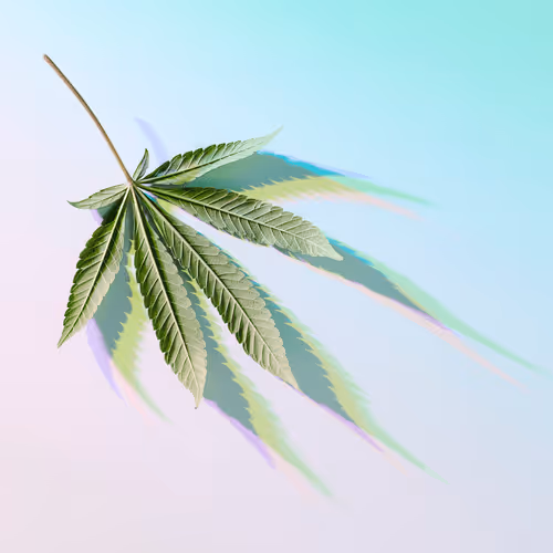 Item #7029275761856656670262206624441722279086749125334094416383120158426350485505 Media