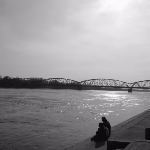 MetaCryptoDomains Collection