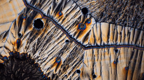 Item #10963747158726230323476698717181339106024031103904100561308612024876190924801 Media