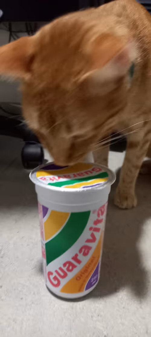 Item #16964185291779018647508030796143885508517684175872023408727531630894545633281 Media