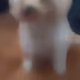 107643760086873134695454282191223111427569081045857005672190558270781214687233