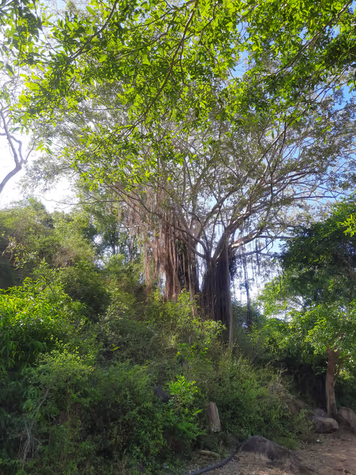 Item #86460548825896395183188707427462696963522650148758793724109723212055828234241 Media