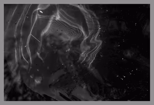 Item #39235584922614142939660206561436219704889843519746520476094237021230895988737 Media