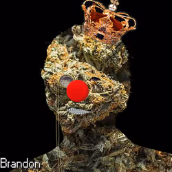 21688527815507990779780435242269546376679550267989735943769102446638735032321