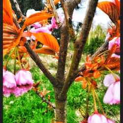 3787080761074609709675817509753112159059746763483256848434353775499710300161