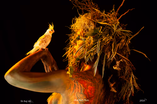 Item #22903998292597646636474096852405131883501866736470564428538884477035086872586 Media