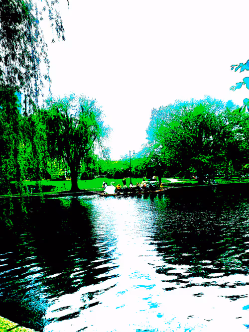 Item #90190205022037577658611228217343825730566789419905869044194752763372163301377 Media