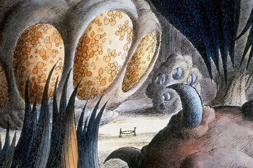 Item #72979762752493002636932871041185342092120897352087323913127970144232142798849 Media