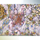 Chicken Soul Gen 0