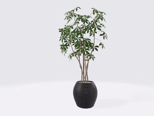 Item #15009102230280779827535312322766623134757849392359860066648723033755574337786 Media