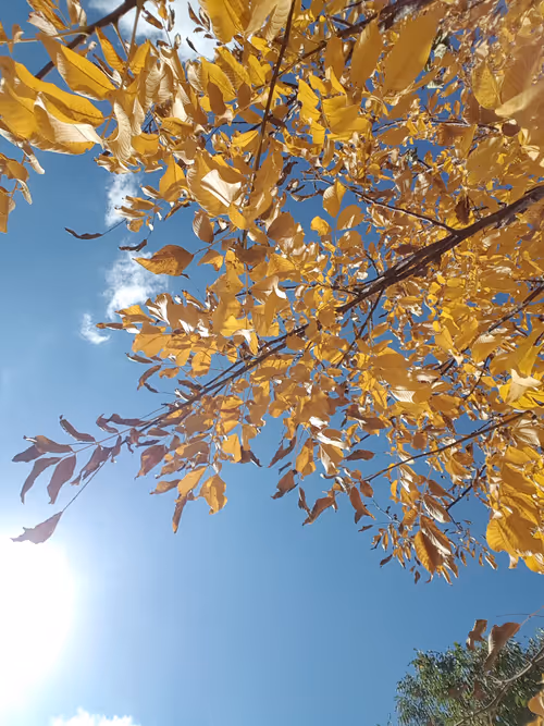 Item #75759668576286006744230728709725410338131587330078402969034405337581897121793 Media