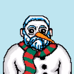 Snowy Pirate #2