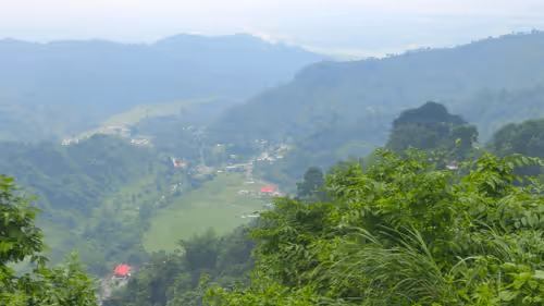 Item #33962819299539128783324513457483469790408897478649344990068676314475333156865 Media