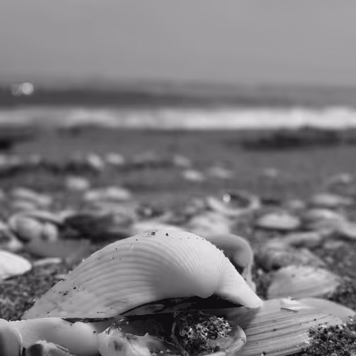 Item #107742627867956892364714120184147413803821811265510288122929724890543827189761 Media