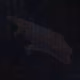 73788490183614268462378126413555843777384862160728538808510502494843156037633