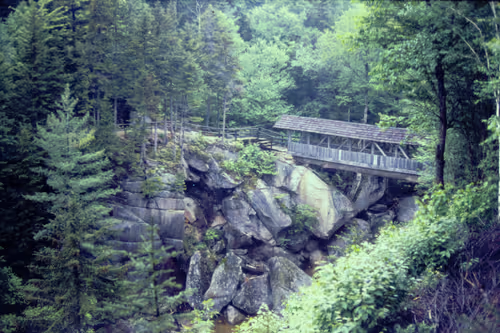 Item #113047771030127017240919341709485116586684509374101894410877815028291624501249 Media