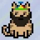 62467536445418901683526312390752010330375978015730577464472949046196010221569