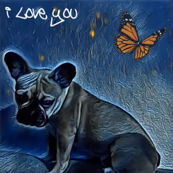 I love you