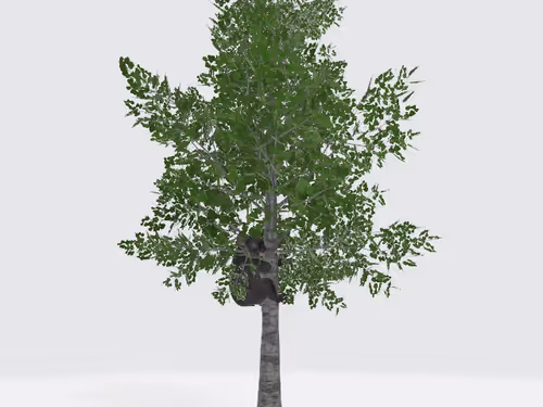 Item #10025638587416761334212079204996087241167674853821714586376957214276972445697 Media