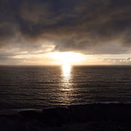 Midnight Sun Alpha