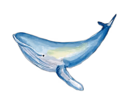 Item #46304094613724871051746606201869162156631433025373697716598318707707620622337 Media