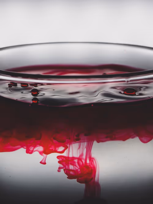 Item #39391070493116977564899321791408150162796374052111424108014134435941011423233 Media