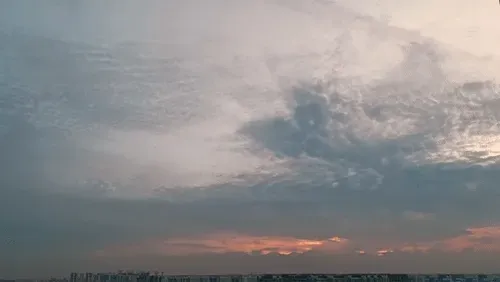 Item #54545336870129037164307986437789858251348704753246412266065009465750924034049 Media