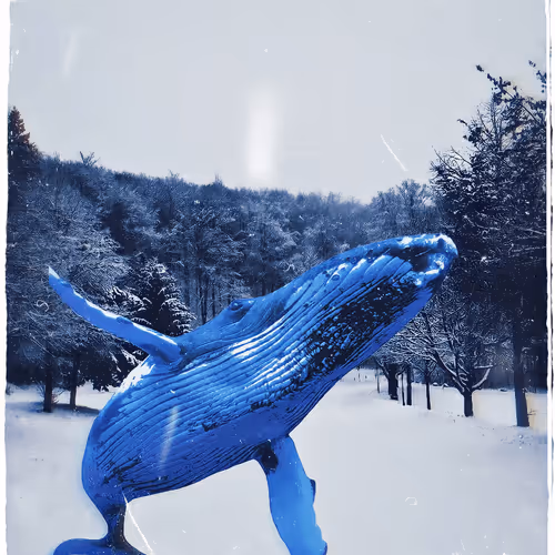 whale